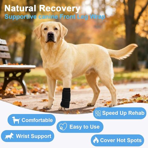 Dog Front Leg Knee Brace with Aluminum Splint for Post-Surgery Recovery, Front Leg Support Wrap to an Alternative to a cast, Adjustable Straps for Joint Protection and Healing (Black, M) in Saudi Arabia