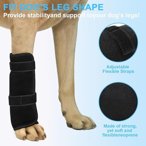 Dog Front Leg Knee Brace with Aluminum Splint for Post-Surgery Recovery, Front Leg Support Wrap to an Alternative to a cast, Adjustable Straps for Joint Protection and Healing (Black, M) in Saudi Arabia