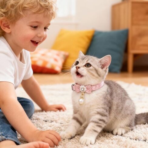 أطواق القطط للقطط البنات، طوق قطط لطيف مع قلادة لؤلؤية، طوق قطط وردي مع مشبك أمان للقطط البنات in Kuwait