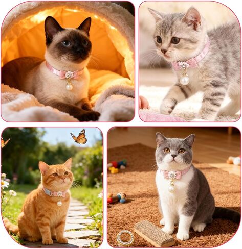 أطواق القطط للقطط البنات، طوق قطط لطيف مع قلادة لؤلؤية، طوق قطط وردي مع مشبك أمان للقطط البنات in Kuwait