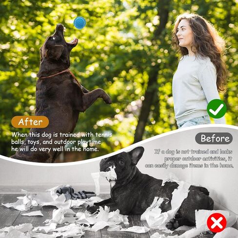 Giantree 20 حزمة كرات تنس صغيرة للكلاب، 2 بوصة تدريب كرات تنس صغيرة للكلاب التفاعلية لعب الكرة الملونة سهلة اصطياد الحيوانات الأليفة لعب الكرة للحيوانات الأليفة الصغيرة in Kuwait