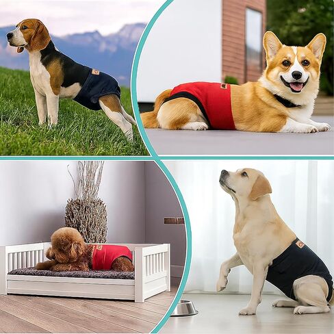 2-Pack Dog Diapers Female |Puppy Essentials Washable & Reusable,Suitable for Period Diapers, Dog Pants to Prevent Licking（Black&red）（L） in Saudi Arabia