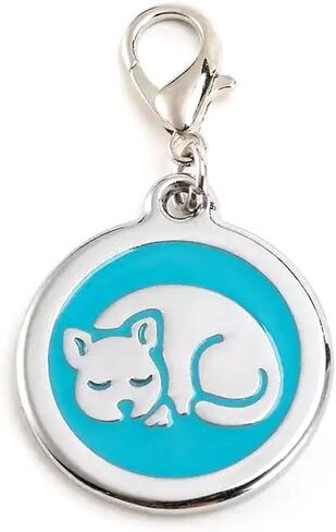 Double-Sided Personalized Dog Tags for Pets - pet ID tag, Laser Engraved Dog tag, Name tag for Dog Collar, Dog Tags for Large Dogs (Pink, Bone-Shaped-Large) in Kuwait