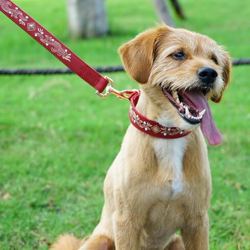 Blueberry Pet Premium Red Leather Dog Leash with Gold Baroque Embroidery in Kuwait
