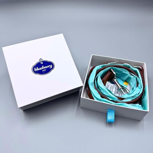Blueberry Pet Premium Embossed Pink Glam Microfiber Leather Dog Leash with Gold Studs in Saudi Arabia