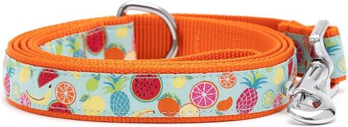 THE WORTHY DOG Tutti Frutti Patterned Nylon Leash for Dogs, Stylish, Durable, Woven Ribbon - Blue/Orange, Small in Saudi Arabia