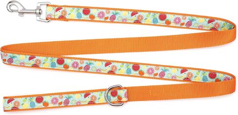 THE WORTHY DOG Tutti Frutti Patterned Nylon Leash for Dogs, Stylish, Durable, Woven Ribbon - Blue/Orange, Small in Saudi Arabia