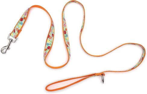 THE WORTHY DOG Tutti Frutti Patterned Nylon Leash for Dogs, Stylish, Durable, Woven Ribbon - Blue/Orange, Small in Saudi Arabia