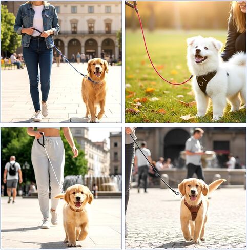 8 Pack Chew Proof Metal Dog Leash, 3.3ft Heavy Duty Steel Cable Leashes with 360° Swivel Clip, 2 of Each Color (Silver, Blue, Red, Black) for Small to Large Dogs in Kuwait