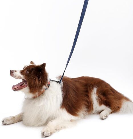 Soft Leather 4ft Dog Collar and Leash Set,Stylish 4ft PU Leather Dog Training Leash, Adjustable Durable Pet Collars with Quick Release Buckle for Large Dogs,Medium Dogs,Blue in Saudi Arabia