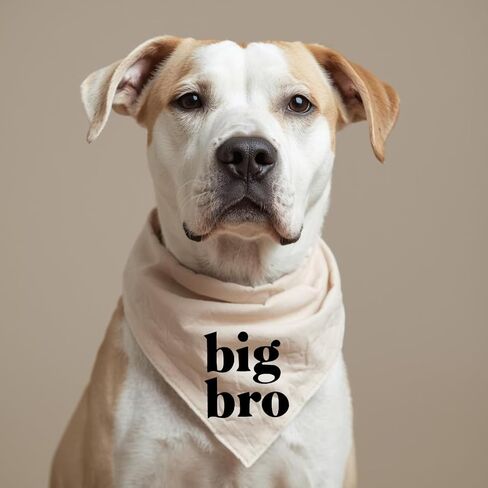 Big Bro Dog Bandana Beige Cream إعلان الطفل الحمل حامل جرو الأخ القطن الطبيعي in Kuwait