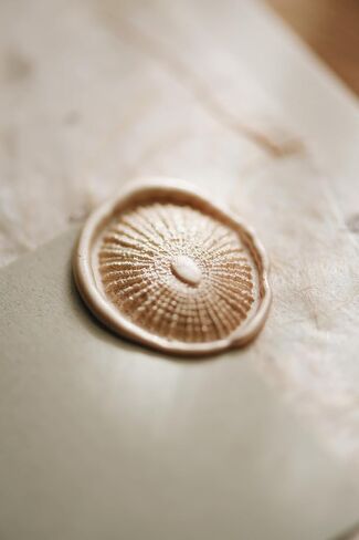 ختم شمع المحيط ثلاثي الأبعاد - لدعوات الزفاف، والأظرف، وتغليف الهدايا، والعلامات التجارية، والمشروع الفني in Kuwait