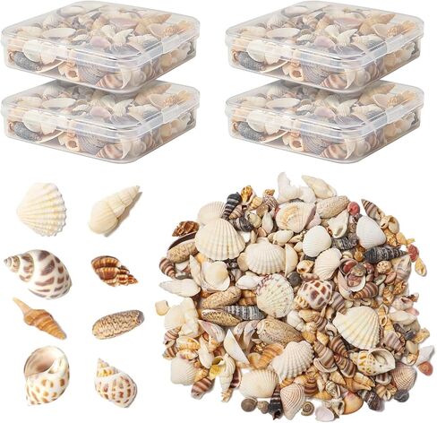 أصداف بحرية للحرف اليدوية، أصداف بحرية مختلطة طبيعية، 4 عبوات، أصداف صغيرة للحرف اليدوية، أصداف صغيرة للحرف اليدوية، الديكور، حشو المزهرية (550 قطعة) in Kuwait