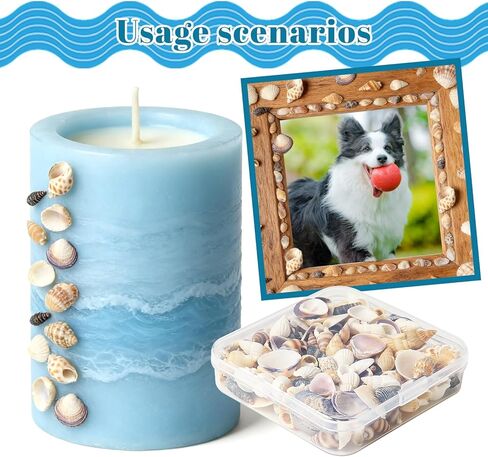 أصداف بحرية للحرف اليدوية، أصداف بحرية مختلطة طبيعية، 4 عبوات، أصداف صغيرة للحرف اليدوية، أصداف صغيرة للحرف اليدوية، الديكور، حشو المزهرية (550 قطعة) in Kuwait
