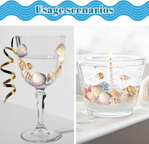 أصداف بحرية للحرف اليدوية، أصداف بحرية مختلطة طبيعية، 4 عبوات، أصداف صغيرة للحرف اليدوية، أصداف صغيرة للحرف اليدوية، الديكور، حشو المزهرية (550 قطعة) in Kuwait