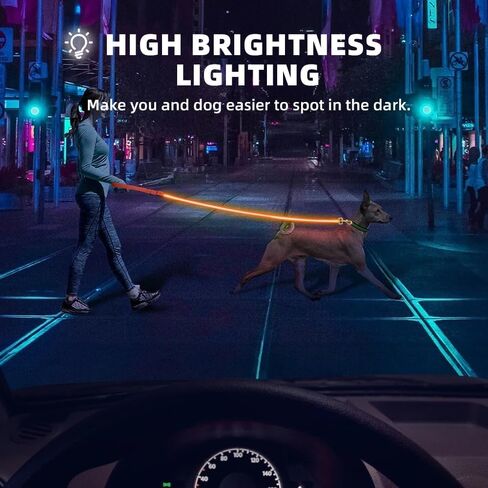 مقود للكلاب باللون الأحمر الكرزي فائق السطوع بإضاءة LED | أصبحت المشي ليلاً أكثر أمانًا | يو اس بي قابل للشحن | مقاوم للماء | متين | 4 أوضاع إضاءة و3 ألوان | حافظ على أمان الجرو الخاص بك ونفسك أثناء التنقل! in Saudi Arabia