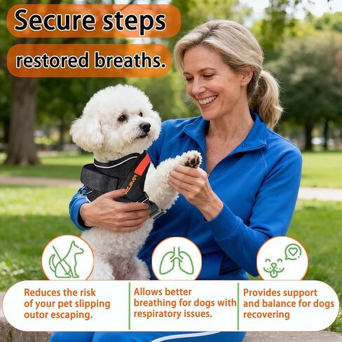 S Size No Pull Dog Harness - Escape Proof, Reflective, Heavy Duty Pet Vest with Safety Handle & Custom Name Tag, Adjustable for Small Medium Large Dogs, Ideal for Walking & Training in Saudi Arabia