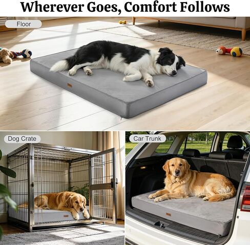 سرير للكلاب لتقويم العظام، مقاس 44 بوصة × 32 بوصة، سرير للكلاب كبير الحجم، بساط مقاوم للماء للحيوانات الأليفة، وسادة مرتبة كبيرة للحيوانات الأليفة مع غطاء قطيفة ناعم قابل للإزالة والغسل، رغوة قفص البيض، قاعدة مضادة للانزلاق، رمادي in Kuwait