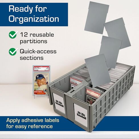 BCW Tall Graded Card Bin Partitions - Gray | Extra Tall Dividers Graded Card Bin Only | Supports and Organizes PSA, BGS, SGC, CSG Slabs | 12 Pack of Card Storage Dividers in Saudi Arabia