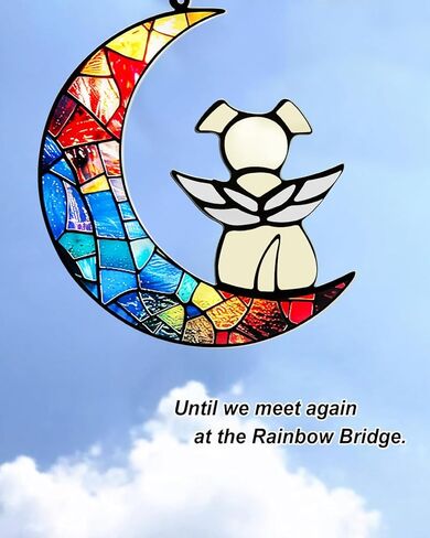 قوس قزح جسر الكلب الهدايا التذكارية لفقدان الكلب التعاطف ذكرى Suncatcher، أجنحة الملاك الحيوانات الأليفة فقدان الهدايا الفجيعة في ذكرى وفاة الحيوانات الأليفة نافذة معلقة in Kuwait