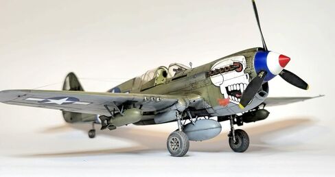 Eduard 1/48 Dual Combo Royal Class P-40N Warhawk Plastic Model EDUR0025 (Airplane) in Kuwait