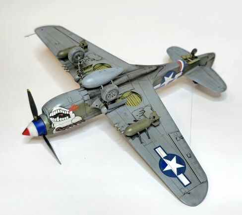 Eduard 1/48 Dual Combo Royal Class P-40N Warhawk Plastic Model EDUR0025 (Airplane) in Kuwait