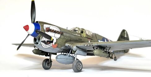 Eduard 1/48 Dual Combo Royal Class P-40N Warhawk Plastic Model EDUR0025 (Airplane) in Kuwait