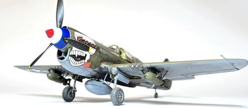 Eduard 1/48 Dual Combo Royal Class P-40N Warhawk Plastic Model EDUR0025 (Airplane) in Kuwait