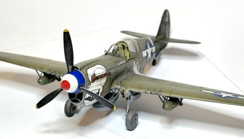 Eduard 1/48 Dual Combo Royal Class P-40N Warhawk Plastic Model EDUR0025 (Airplane) in Kuwait