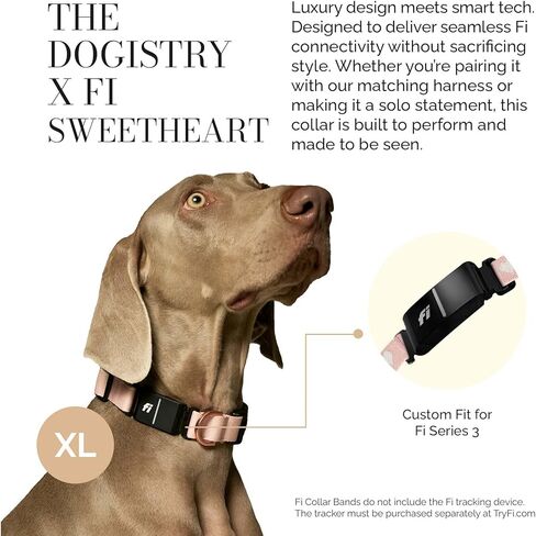The DOGISTRY - طوق Fi Sweetheart - تصميم فاخر يلتقي بالتكنولوجيا الذكية - مصمم خصيصًا لسلسلة Fi 3/3+ - أسلوب وحرفية سلسة in Kuwait