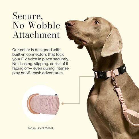 The DOGISTRY - طوق Fi Sweetheart - تصميم فاخر يلتقي بالتكنولوجيا الذكية - مصمم خصيصًا لسلسلة Fi 3/3+ - أسلوب وحرفية سلسة in Kuwait