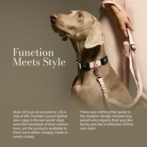 The DOGISTRY - طوق Fi Sweetheart - تصميم فاخر يلتقي بالتكنولوجيا الذكية - مصمم خصيصًا لسلسلة Fi 3/3+ - أسلوب وحرفية سلسة in Kuwait