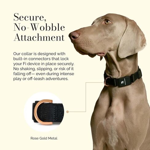 طوق Fi Rockstar - تصميم فاخر يلتقي بالتكنولوجيا الذكية - مصمم خصيصًا لسلسلة Fi 3/3+ - أسلوب وحرفية سلسة in Kuwait