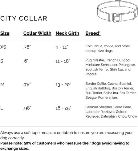 طوق Fi Rockstar - تصميم فاخر يلتقي بالتكنولوجيا الذكية - مصمم خصيصًا لسلسلة Fi 3/3+ - أسلوب وحرفية سلسة in Kuwait