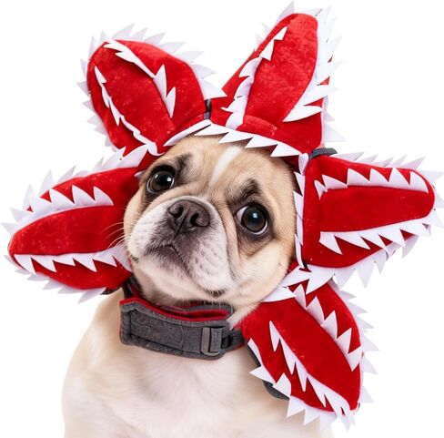 Demogorgon Dog Costume for Dogs Cats –Adjustable Pet Headpiece, Funny Cosplay Photo Prop Fits Small, Medium & Select Large Breeds (Medium) in Saudi Arabia