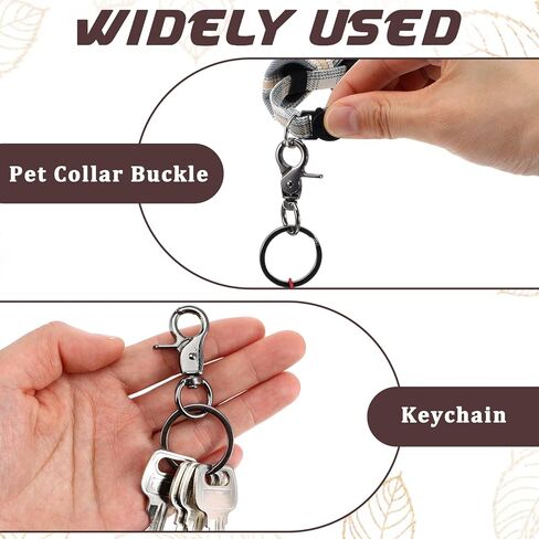 2 Pcs Dog Tag Clip Dog Tag Holder Easy Change for Pet ID Tags Quick Clips Heavy Duty Pet Tags Attachment Clip Stainless Steel Cats & Dogs Collar Clips for Large Medium Smal Dogs Cat Collars and Harnes in Saudi Arabia
