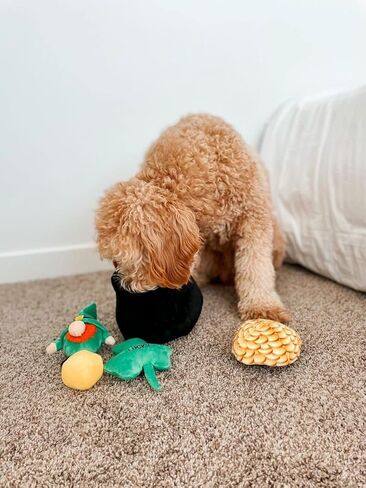 Midlee Hide-A-Toy Pot of Gold St. Patrick's Day Dog Toy in Saudi Arabia