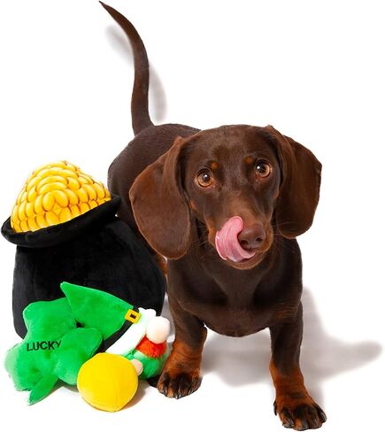 Midlee Hide-A-Toy Pot of Gold St. Patrick's Day Dog Toy in Saudi Arabia