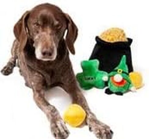 Midlee Hide-A-Toy Pot of Gold St. Patrick's Day Dog Toy in Saudi Arabia
