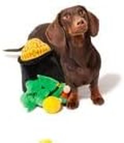 Midlee Hide-A-Toy Pot of Gold St. Patrick's Day Dog Toy in Saudi Arabia