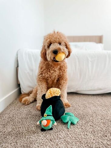 Midlee Hide-A-Toy Pot of Gold St. Patrick's Day Dog Toy in Saudi Arabia