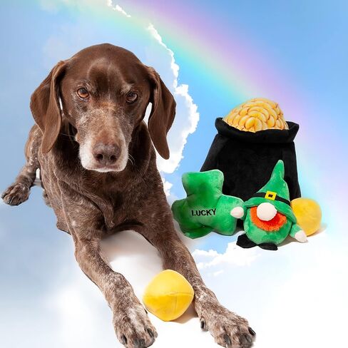 Midlee Hide-A-Toy Pot of Gold St. Patrick's Day Dog Toy in Saudi Arabia