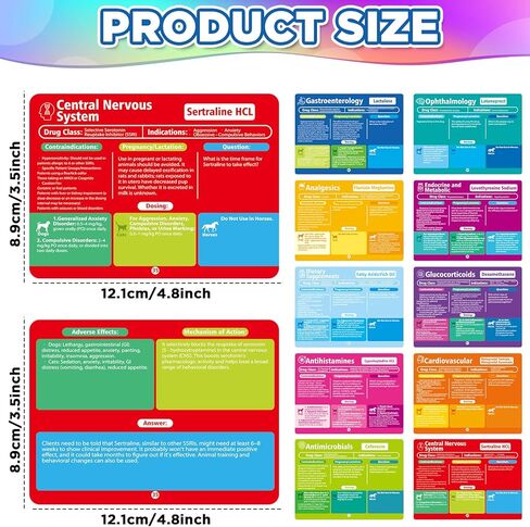 chiazllta 50 Veterinary Pharmacology Flashcards Vet Tech Study Materials for Dogs Cats & Horses Essential Vet School Supplies & Gifts for Veterinary Students in Saudi Arabia