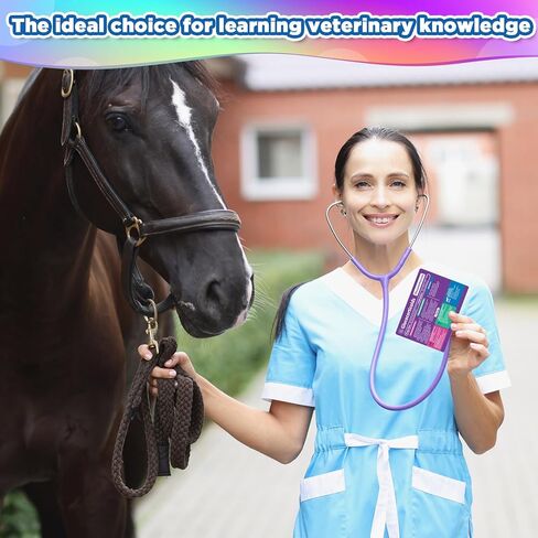 chiazllta 50 Veterinary Pharmacology Flashcards Vet Tech Study Materials for Dogs Cats & Horses Essential Vet School Supplies & Gifts for Veterinary Students in Saudi Arabia
