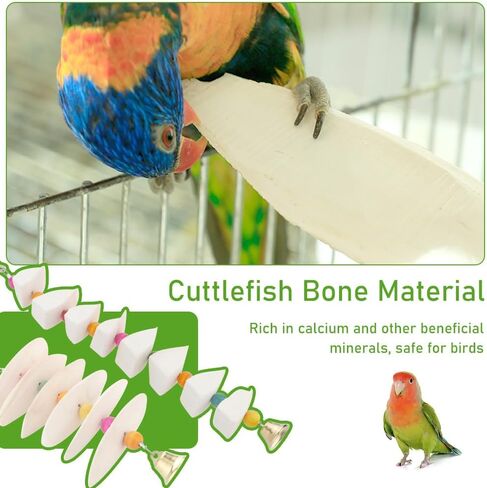 dqitj 2 حزمة cuttlebone مضغ لعبة الكالسيوم الطبيعي عناق العظام الطيور منقار طحن لعبة للطيور الصغيرة الببغاء كوكاتيل lovebird الببغاء in Kuwait
