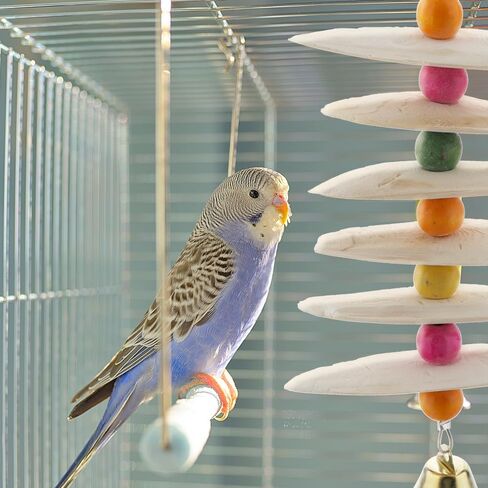 dqitj 2 حزمة cuttlebone مضغ لعبة الكالسيوم الطبيعي عناق العظام الطيور منقار طحن لعبة للطيور الصغيرة الببغاء كوكاتيل lovebird الببغاء in Kuwait