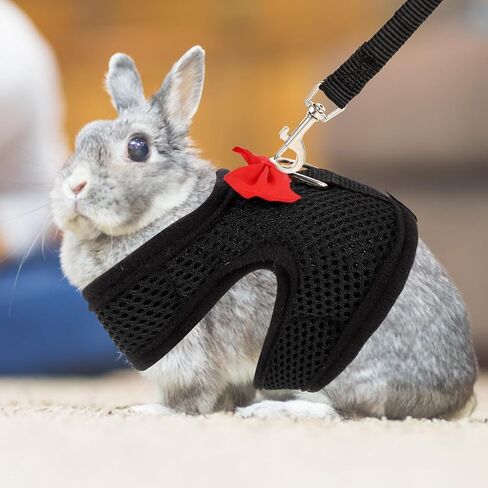 Adjustable Breathable Vest Harness Leash Set for Guinea Pigs and Rabbits, Chest 20-23cm, Dark Pet Walking Leash for Outdoor Use in Saudi Arabia