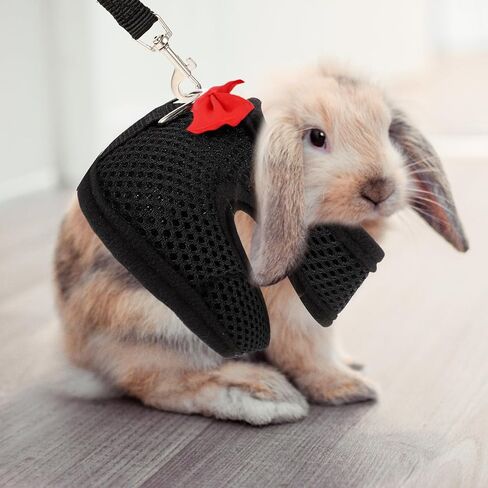 Adjustable Breathable Vest Harness Leash Set for Guinea Pigs and Rabbits, Chest 20-23cm, Dark Pet Walking Leash for Outdoor Use in Saudi Arabia