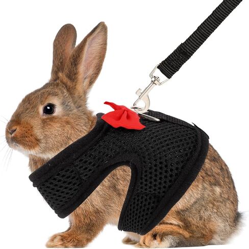 Adjustable Breathable Vest Harness Leash Set for Guinea Pigs and Rabbits, Chest 20-23cm, Dark Pet Walking Leash for Outdoor Use in Saudi Arabia