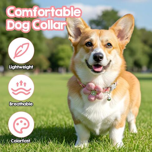 Small Dog Collar with Flower, Puppy Collar for Girl Dog Collars for Small Dogs Cute Collars with Bell, Adjustable Length Neckband (Pink) in Saudi Arabia